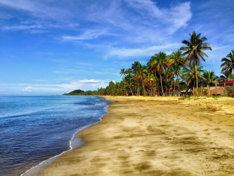 fiji-beach-sand-palm-trees-56005[1]