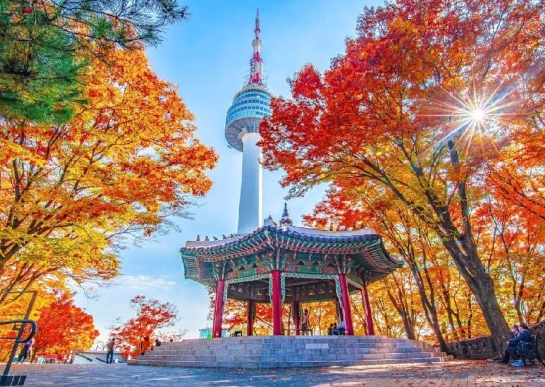 South Korea Tour Package – Seoul & Busan