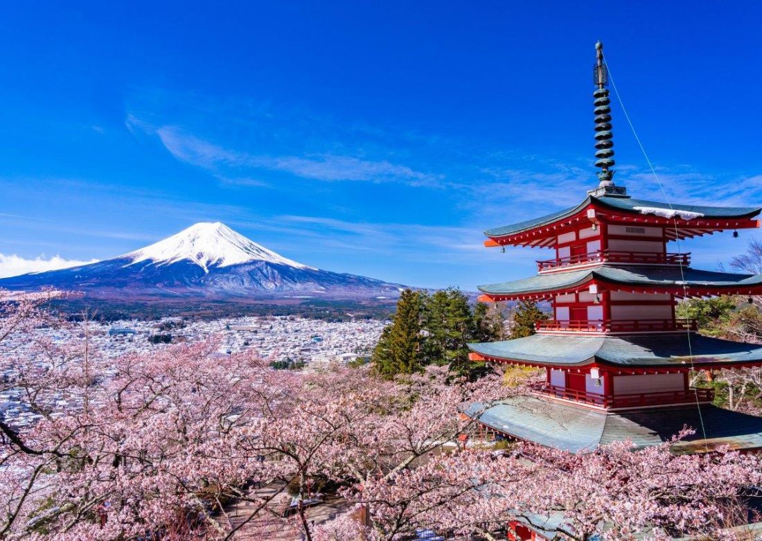 Japan Cherry Blossom Tour