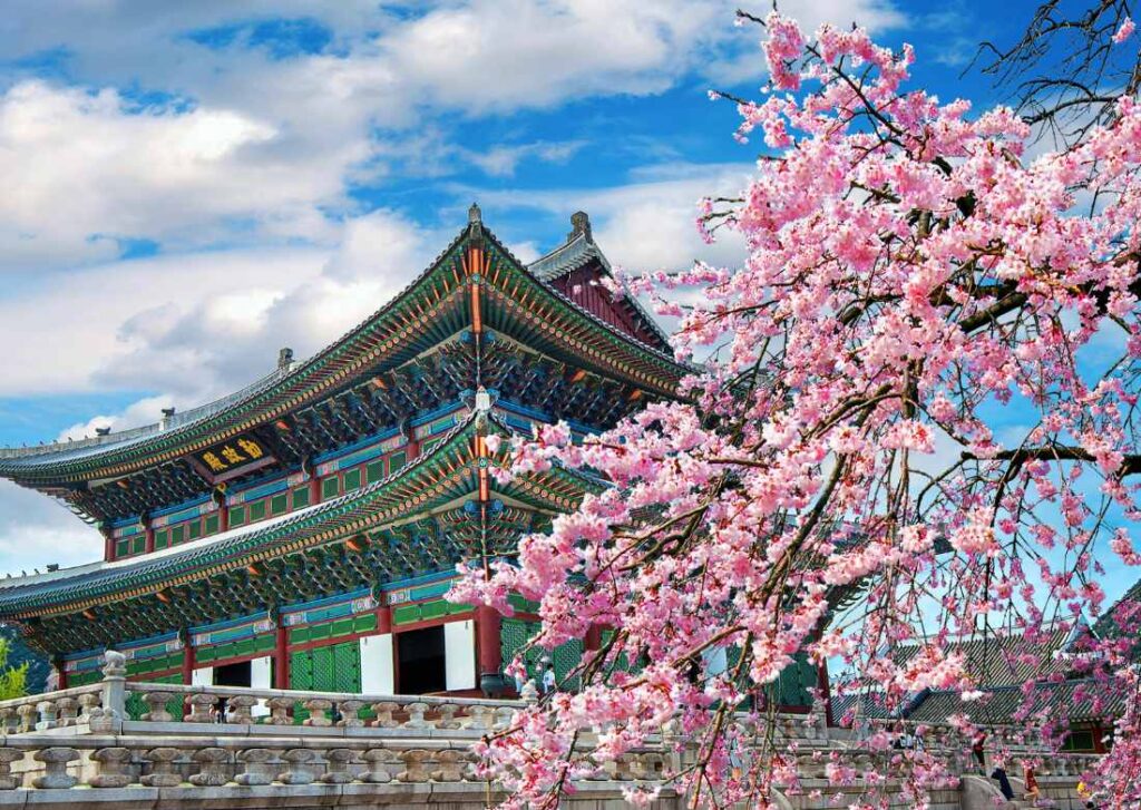 Explore South Korea with Travelistaan! 05 Nights / 06 Days tour of Seoul & Busan starting at ₹70,000. Includes 3-star stay, KTX Train tickets, Nami Island, and DMZ tour. Book now!