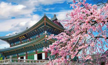 Explore South Korea with Travelistaan! 05 Nights / 06 Days tour of Seoul & Busan starting at ₹70,000. Includes 3-star stay, KTX Train tickets, Nami Island, and DMZ tour. Book now!
