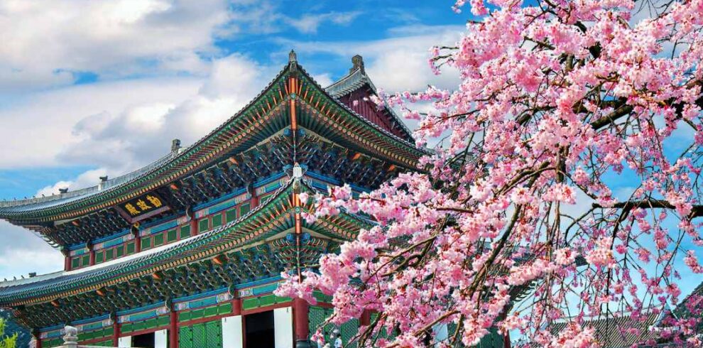 Explore South Korea with Travelistaan! 05 Nights / 06 Days tour of Seoul & Busan starting at ₹70,000. Includes 3-star stay, KTX Train tickets, Nami Island, and DMZ tour. Book now!