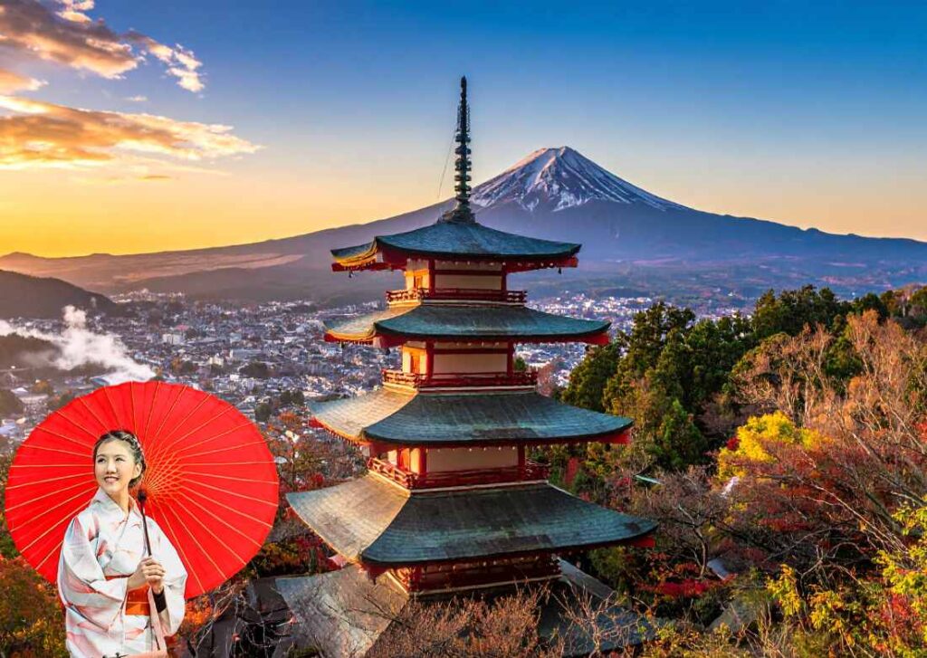 Japan Cherry Blossom