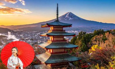 Japan Cherry Blossom